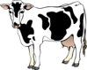 Standing Cow Clip Art